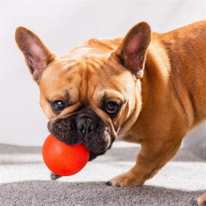 2023 ChewMaster™ Ball